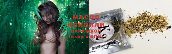 тгк Нея