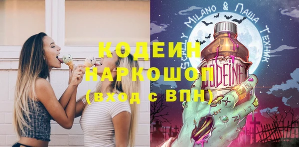 тгк Нея