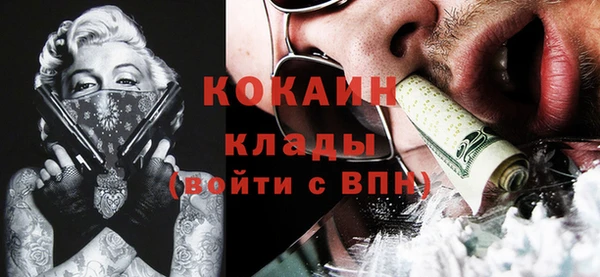 тгк Нея