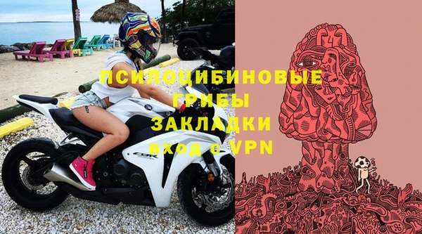 тгк Нея