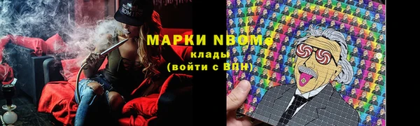 тгк Нея