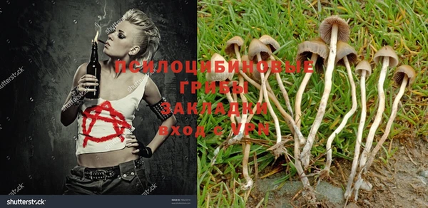 дживик Нефтекумск