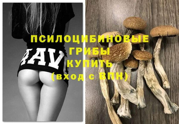 тгк Нея